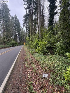 /international/us/clackamas-river-dr-oregoncity-or-110108690101/