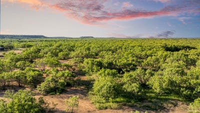 /international/us/2186-fm-1028-rochelle-tx-110100445862/