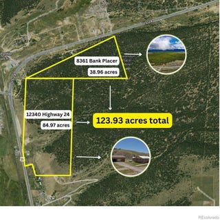 /international/us/8361-bank-placer-leadville-co-110107540259/