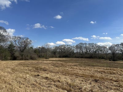 /international/us/hurricane-creek-rd-lumberton-ms-110105884817/