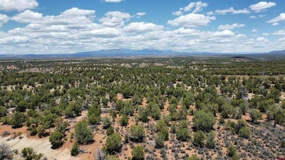 /international/us/4001-cr-136-hesperus-co-110108531164/