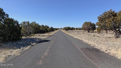 /international/us/0-clubhouse-lane-lot-1-concho-az-110097785169/