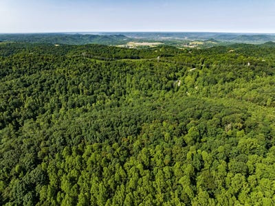 /international/us/0-millers-back-run-road-lucasville-oh-110100125517/