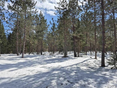 /international/us/20-acres-off-flodin-road-thompson-mi-110107265671/