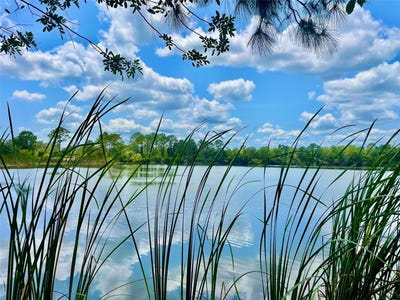 /international/us/5000-blounts-ridge-road-mims-fl-110099296981/?lang=zh-cn