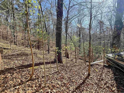 /international/us/100-acres-jones-valley-caddo-gap-ar-110106555360/