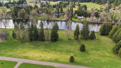 /international/us/omlid-dr-springfield-or-110105955603/