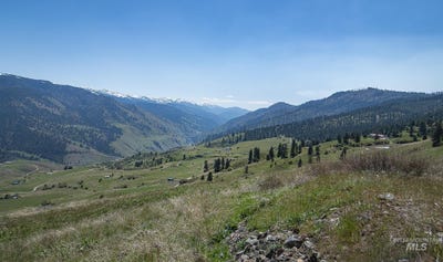 /international/us/elk-haven-circle-lot-96-pollock-id-110107777163/