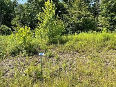 /international/us/hemlock-hills-rd-lot-47a-towanda-pa-110102852686/