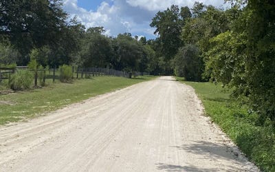 /international/us/mcalpin-fl-110101314085/