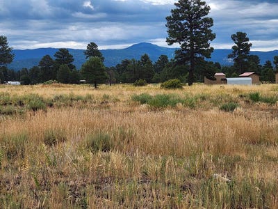 /international/us/1352-capulin-chama-nm-110086207376/?lang=zh-cn