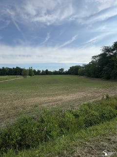 /international/us/dixon-road-monroe-mi-110109038570/