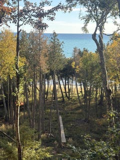 /international/us/4429-wildwood-ln-moran-mi-110120537993/