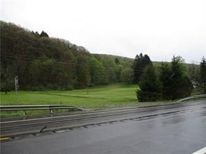/international/us/state-highway-12-norwich-ny-110108802796/