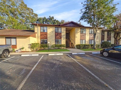 /international/us/504-silver-course-ocala-fl-110105269178/