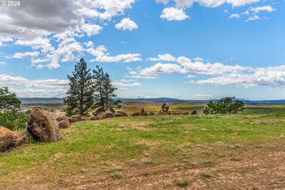 /international/us/125-eagle-dr-goldendale-wa-110108426382/
