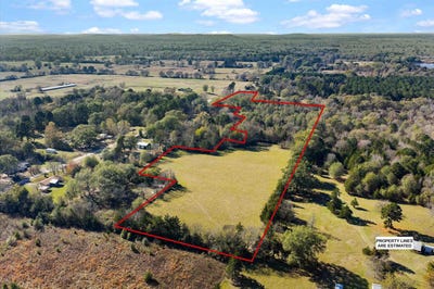 /international/us/234-county-road-2238-daingerfield-tx-110104047516/