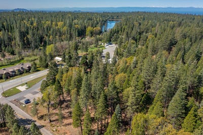 /international/us/emigrant-trail-lot-1-shingletown-ca-110105850028/