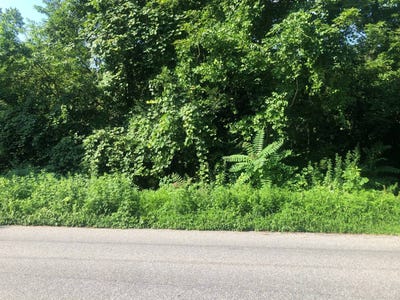 /international/us/0-barrett-hill-road-kent-ny-110101070185/