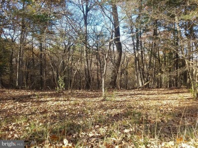 /international/us/crystal-valley-drive-romney-wv-110089329997/