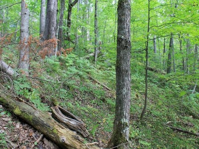 /international/us/on-alpine-dr-lot-15-upson-wi-110108441442/
