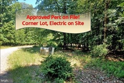 /international/us/wild-apple-lane-lot-40-paw-paw-wv-110092368450/