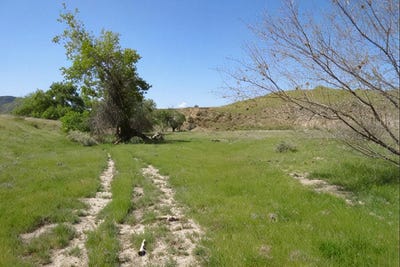 /international/us/hwy-198-coalinga-ca-110101979513/