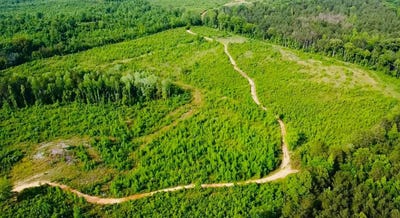 /international/us/9488-county-road-53-n-fayette-al-110100149422/