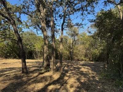/international/us/sweed-road-washington-tx-110103628878/