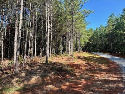 /international/us/6-patriot-view-dahlonega-ga-110100971731/