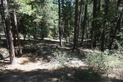/international/us/2021-cedar-lane-quincy-ca-110093758824/?lang=zh-tw