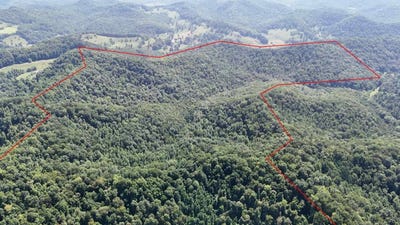 /international/us/wilsie-rd-frametown-wv-110101870991/