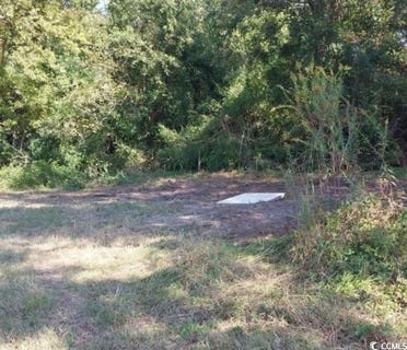 /international/us/davis-lane-lot-1-mullins-sc-110104140981/