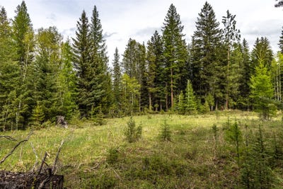 /international/us/37-soaring-eagle-trail-fortine-mt-110098067388/?lang=en