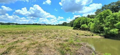 /international/us/3-347-acres-county-rd-91-slocomb-al-110101271759/?lang=zh-tw