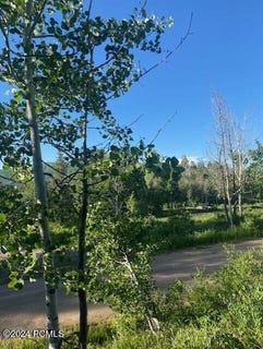 /international/us/969-w-deep-forest-road-coalville-ut-110101305038/?lang=zh-tw