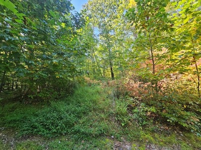 /international/us/fox-hollow-dr-lot-17-bastian-va-110095522345/