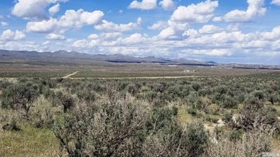 /international/us/bitterroot-st-franklin-ave-elko-nv-110095373909/