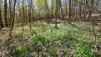 /international/us/269-hawkins-road-wallingford-vt-110108098107/