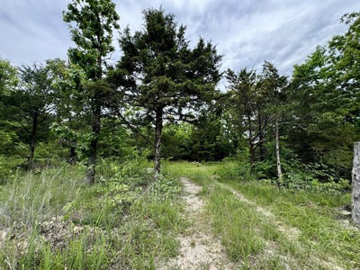 /international/us/cottengim-road-macomb-mo-110108139292/