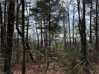 /international/us/staghorn-road-lot-51-52a-purlear-nc-110107517948/