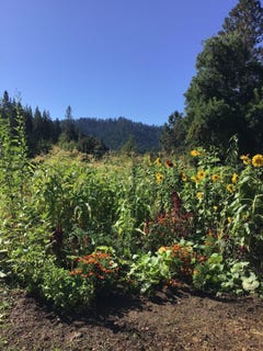 /international/us/200-humphrey-addition-road-glendale-or-110106032748/
