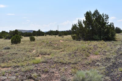 /international/us/41-dawn-lane-concho-az-110090692971/
