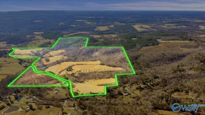 /international/us/95-county-road-970-logan-al-110108390106/