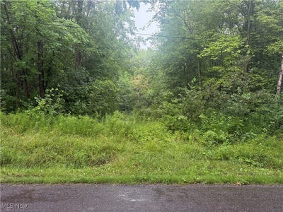 /international/us/mahan-denman-road-ne-bristolville-oh-110101007661/?lang=zh-tw