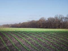 /international/us/694-county-road-1100-east-norris-city-il-110104194787/
