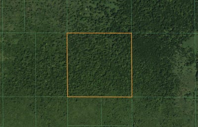/international/us/lt1-state-highway-49-pine-river-wi-110107334875/
