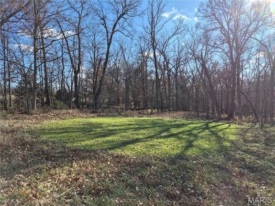 /international/us/0-county-road-197-tract-2-30-acres-williamsburg-mo-110104067572/