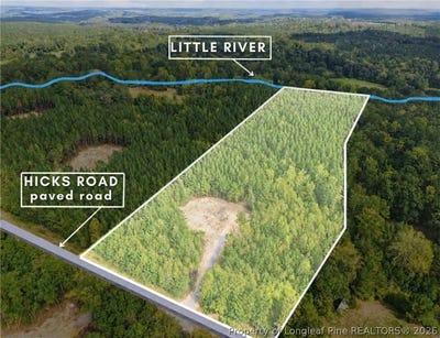 /international/us/capelsie-road-lot-5-candor-nc-110120423403/