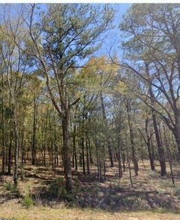 /international/us/ferrell-rd-andalusia-al-110109371538/